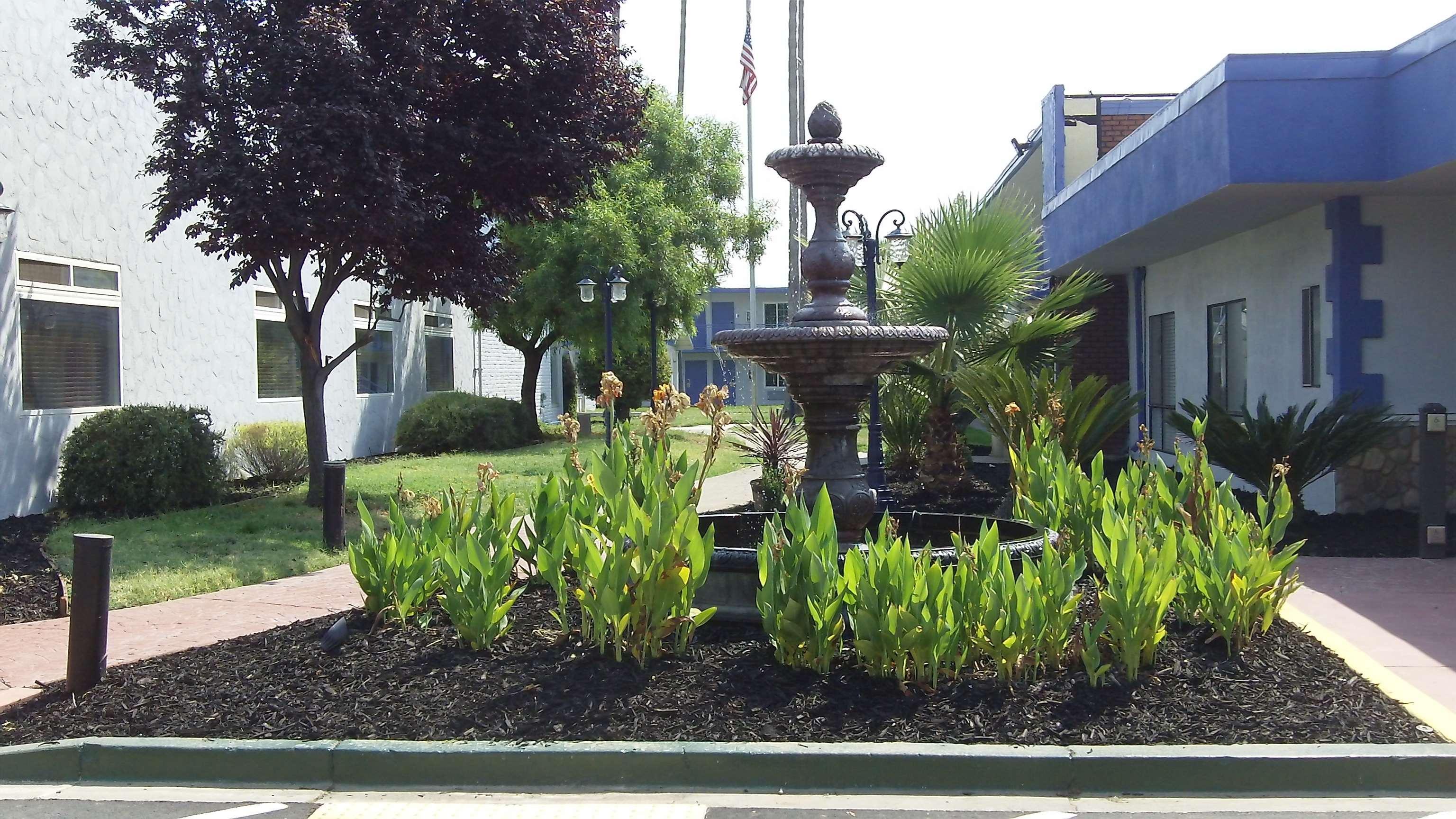 Surestay Plus Hotel By Best Western Sacramento Cal Expo Экстерьер фото