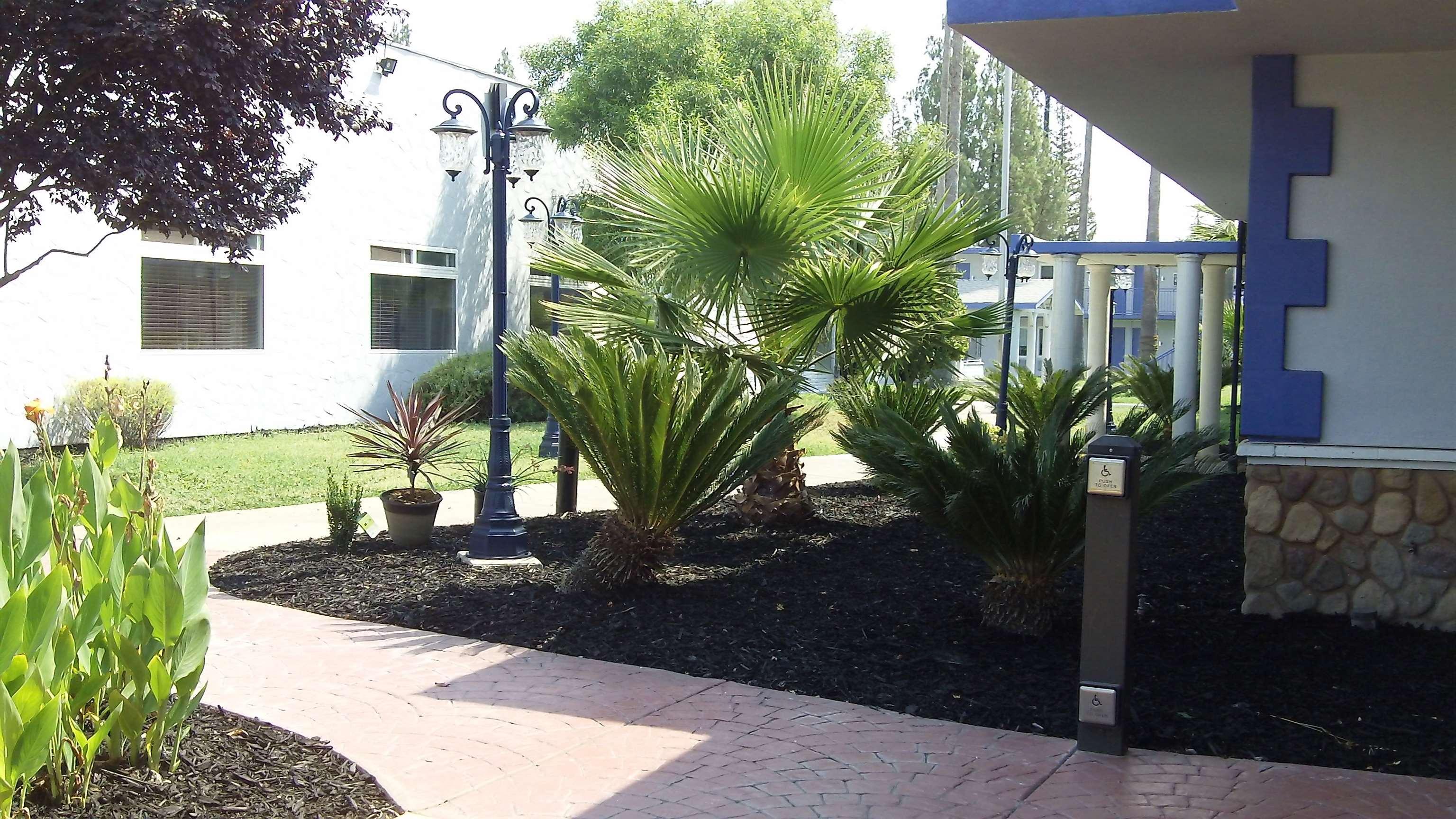Surestay Plus Hotel By Best Western Sacramento Cal Expo Экстерьер фото